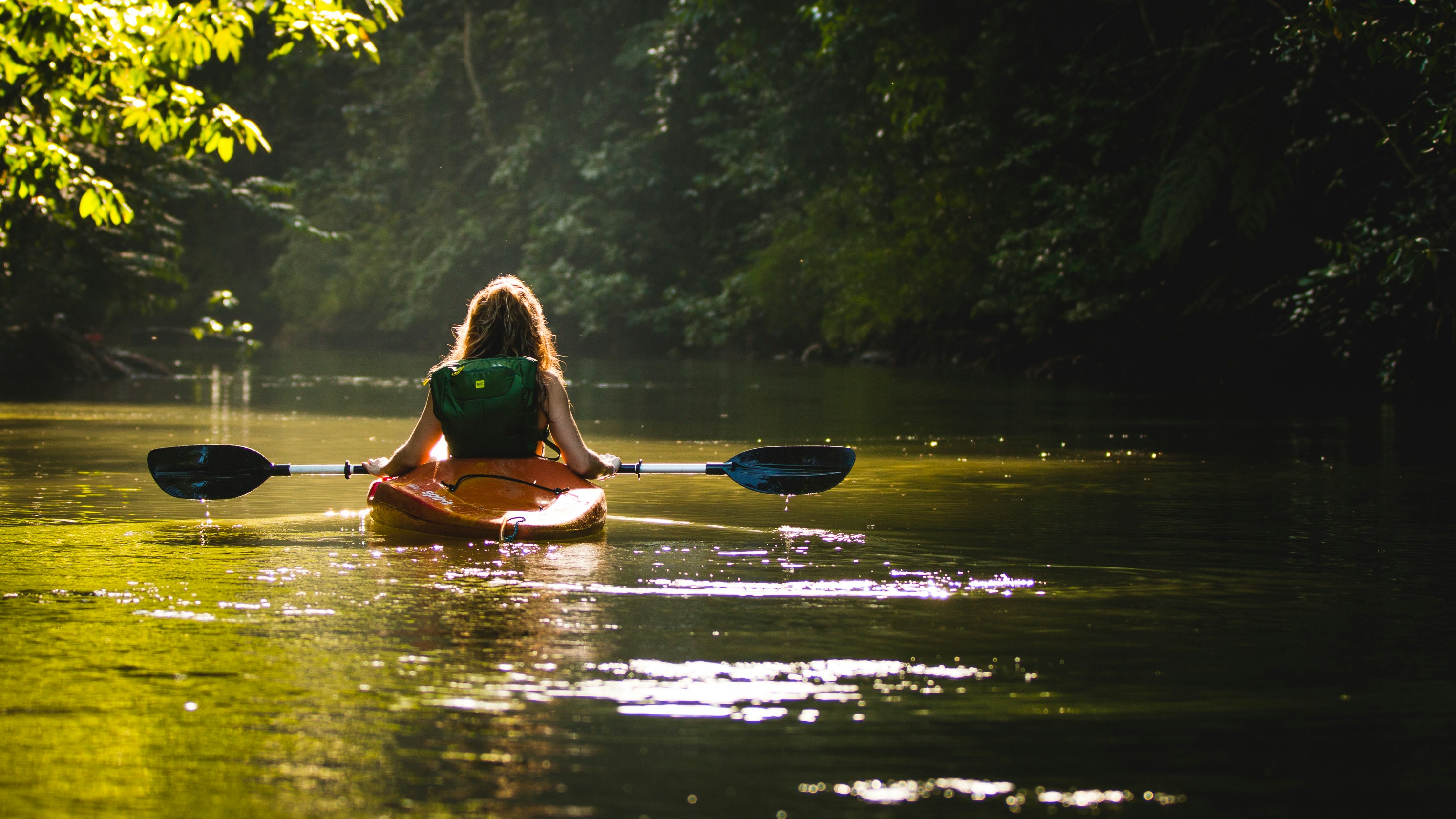 The River Life 